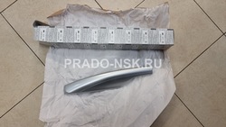 Заглушки рейлингов QX56, QX80, Patrol (оригинальные)