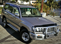 Дефлектор капота Toyota LC 100 EGR