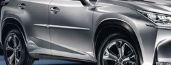 Молдинги на двери lexus nx