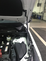 Амортизаторы капота rav4 XA50