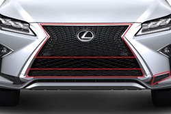 Защитные сетки lexus rx для комплектации F-Sport
